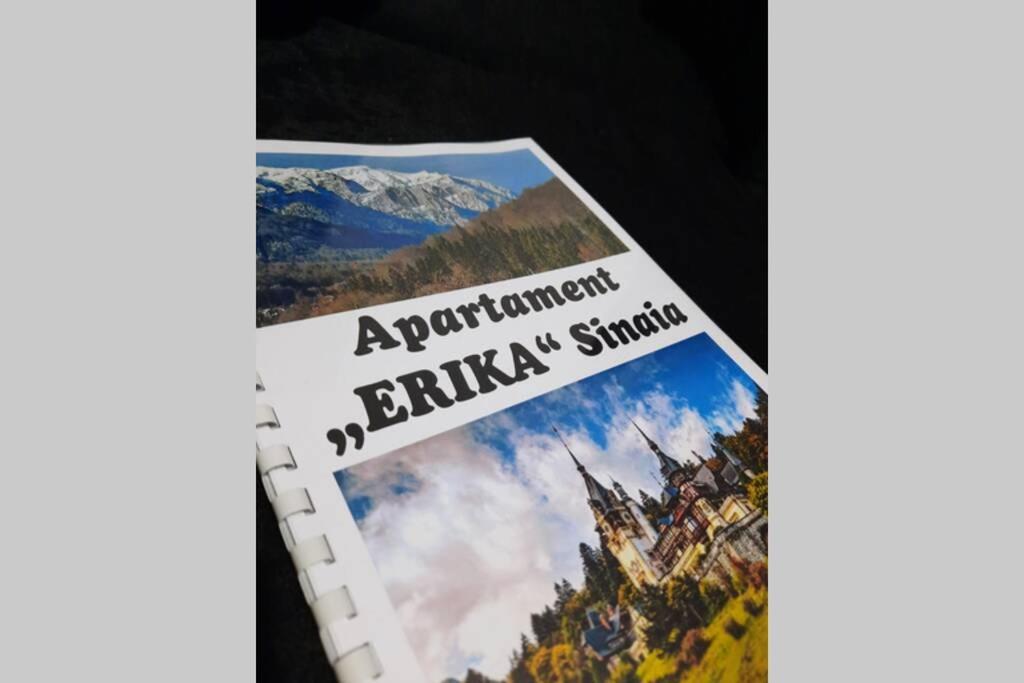 Apartament Erika Sinaia Bagian luar foto