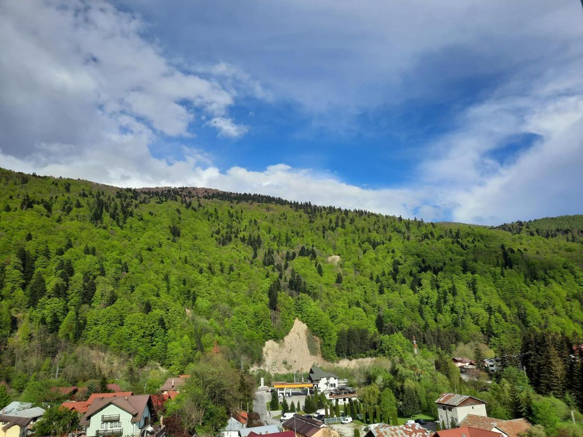 Apartament Erika Sinaia Bagian luar foto