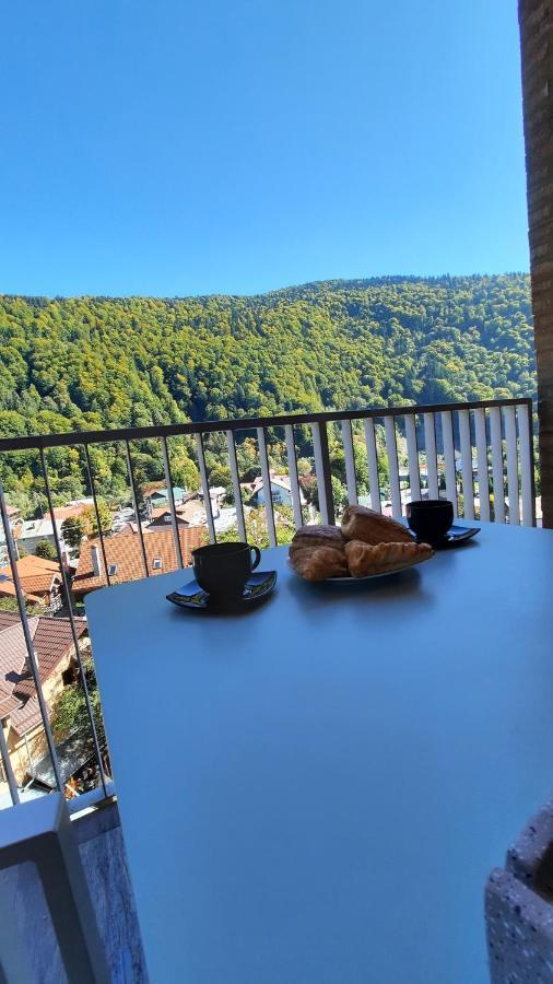 Apartament Erika Sinaia Bagian luar foto