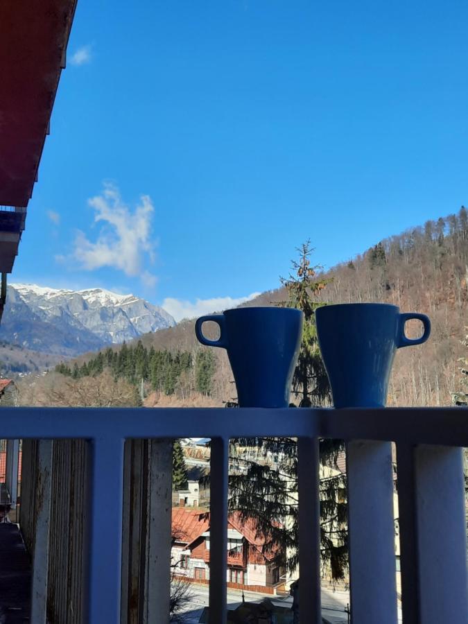 Apartament Erika Sinaia Bagian luar foto