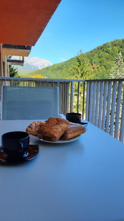 Apartament Erika Sinaia Bagian luar foto
